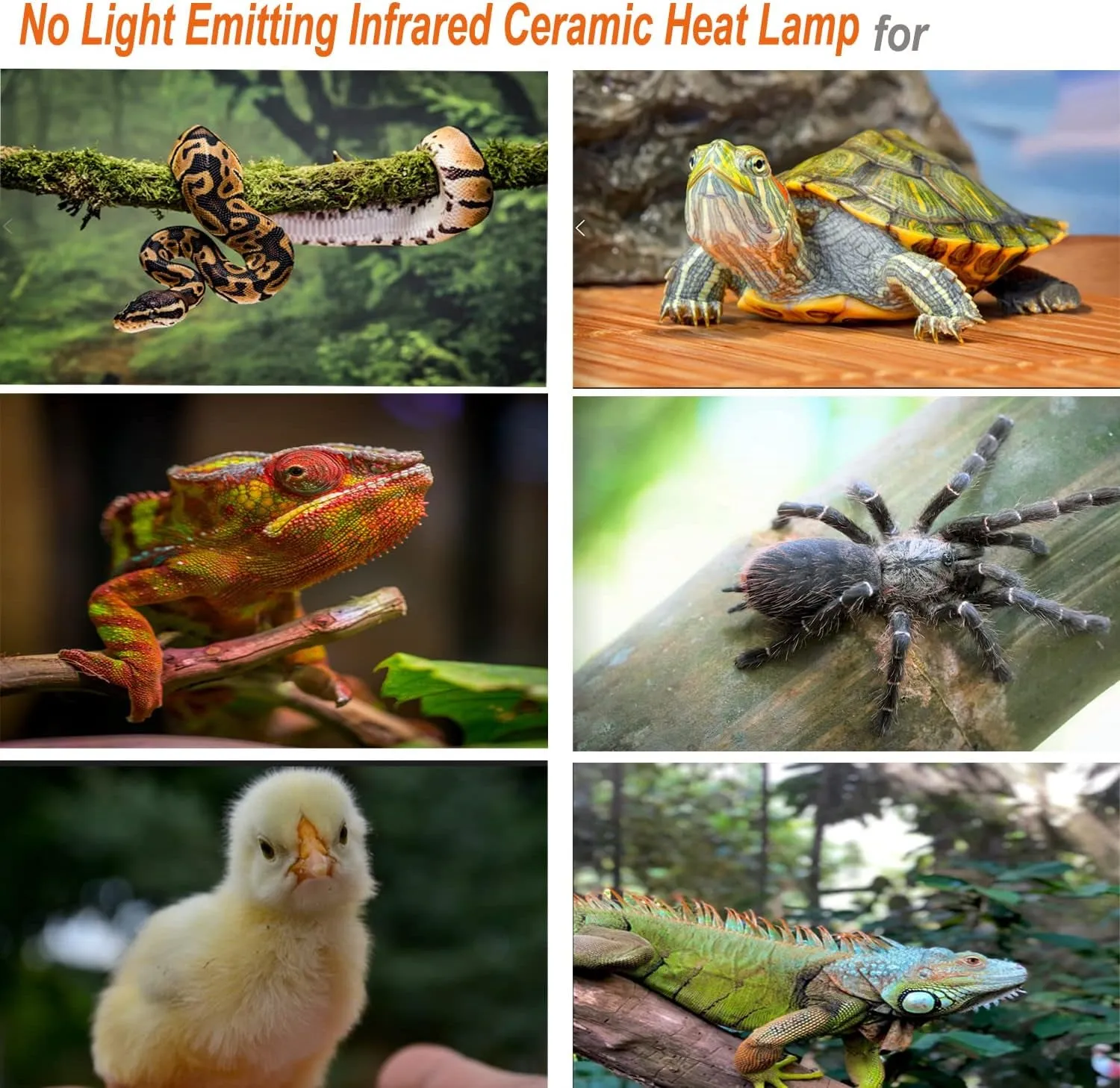 150W 2-Pack Ceramic Heat Lamp Bulb Infrared Reptile for Pet Coop Lizard Snake Turtle Aquarium No Light No Harm Emitted