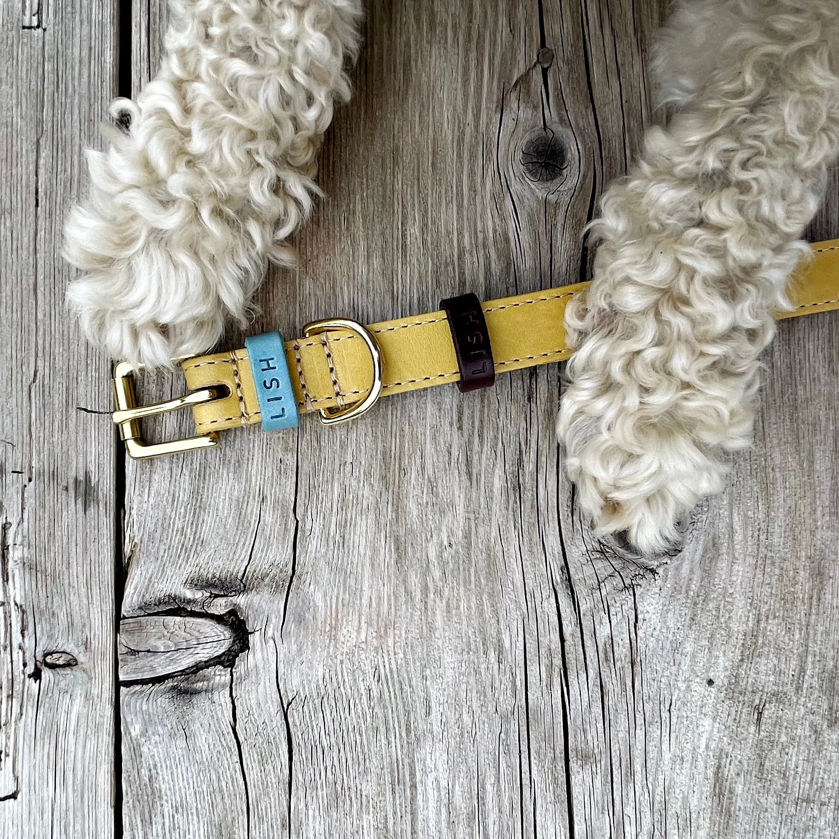 Braithwaite Mustard Yellow Luxury Leather Designer Dog Collar