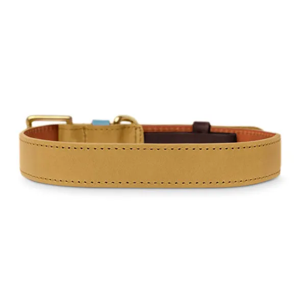 Braithwaite Mustard Yellow Luxury Leather Designer Dog Collar