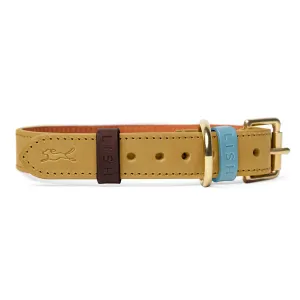 Braithwaite Mustard Yellow Luxury Leather Designer Dog Collar