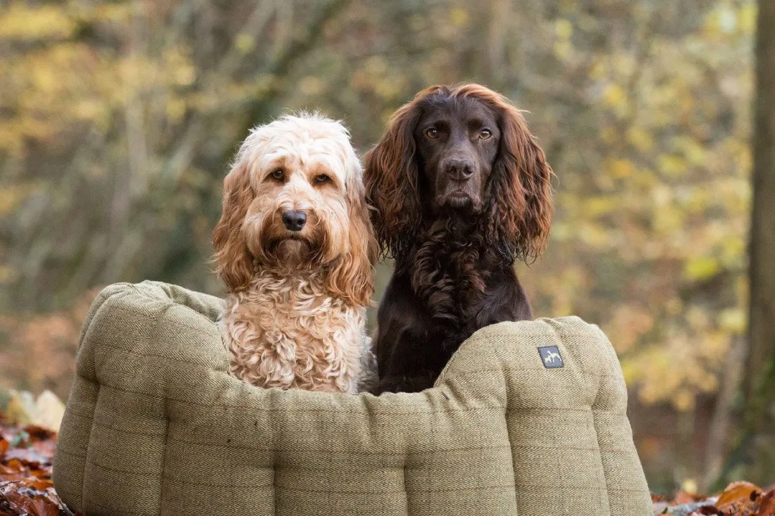 Country and Twee Tweed Dog Bed