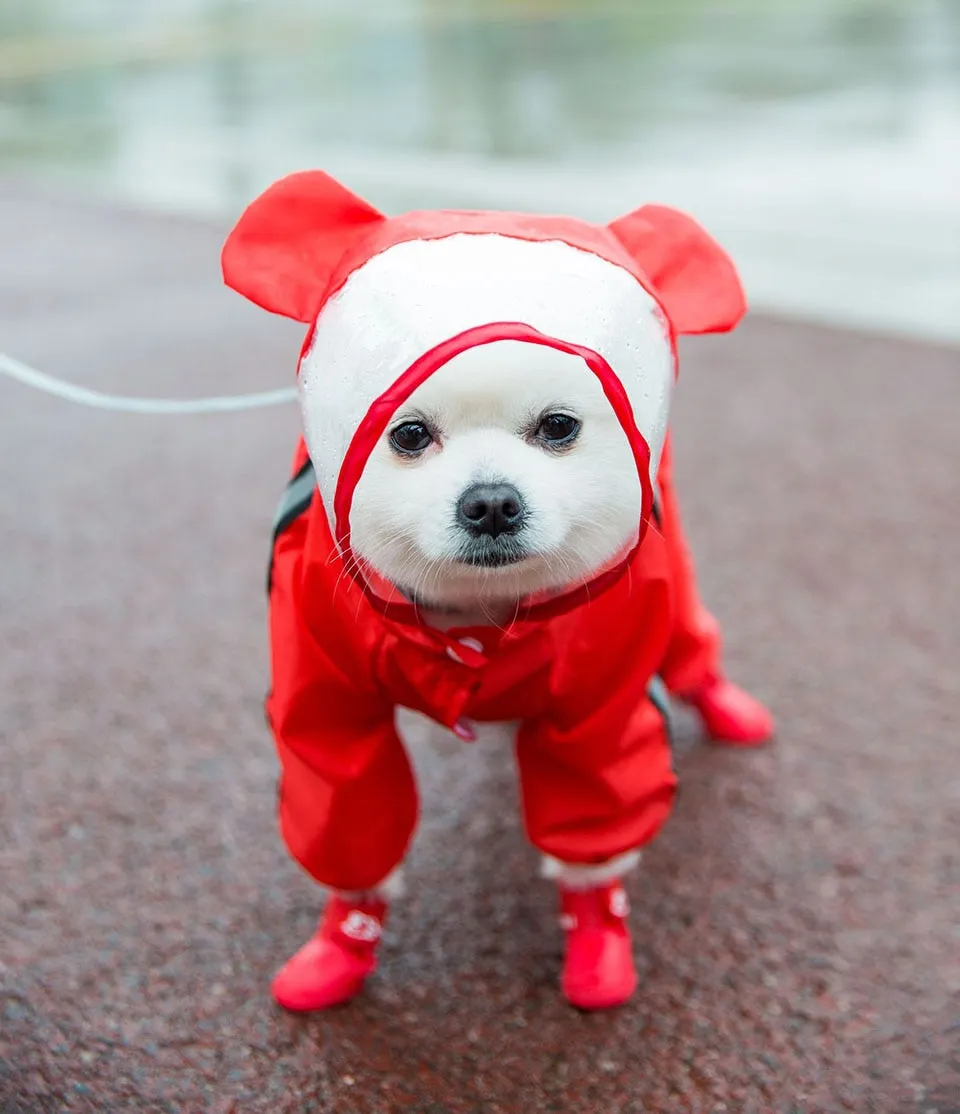 Hooded Raincoat/Shoes for Dogs