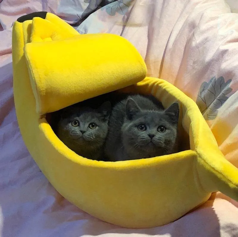 Peeled Banana Cat Bed