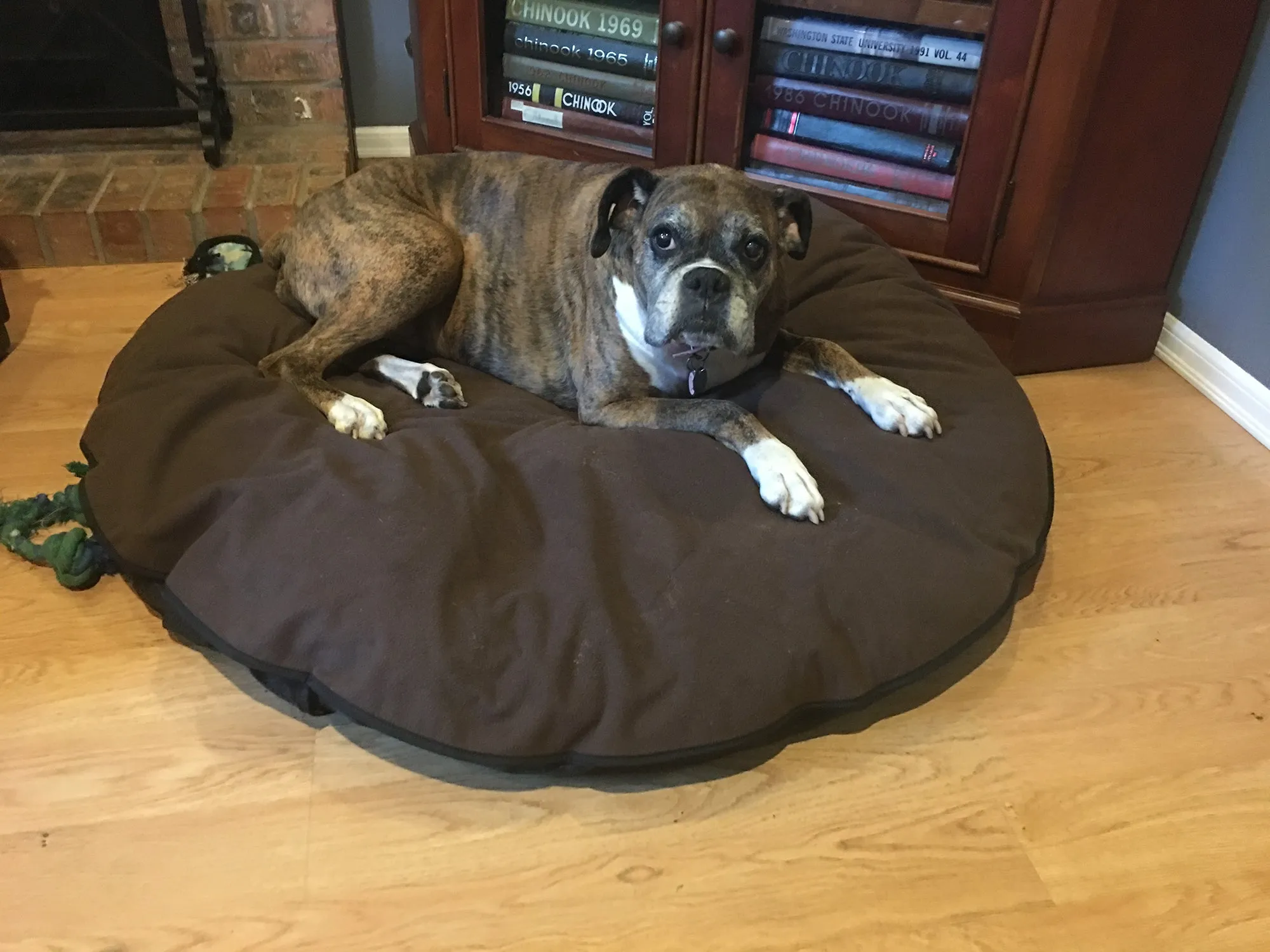 Pet Bed Cover