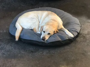 Pet Bed Cover