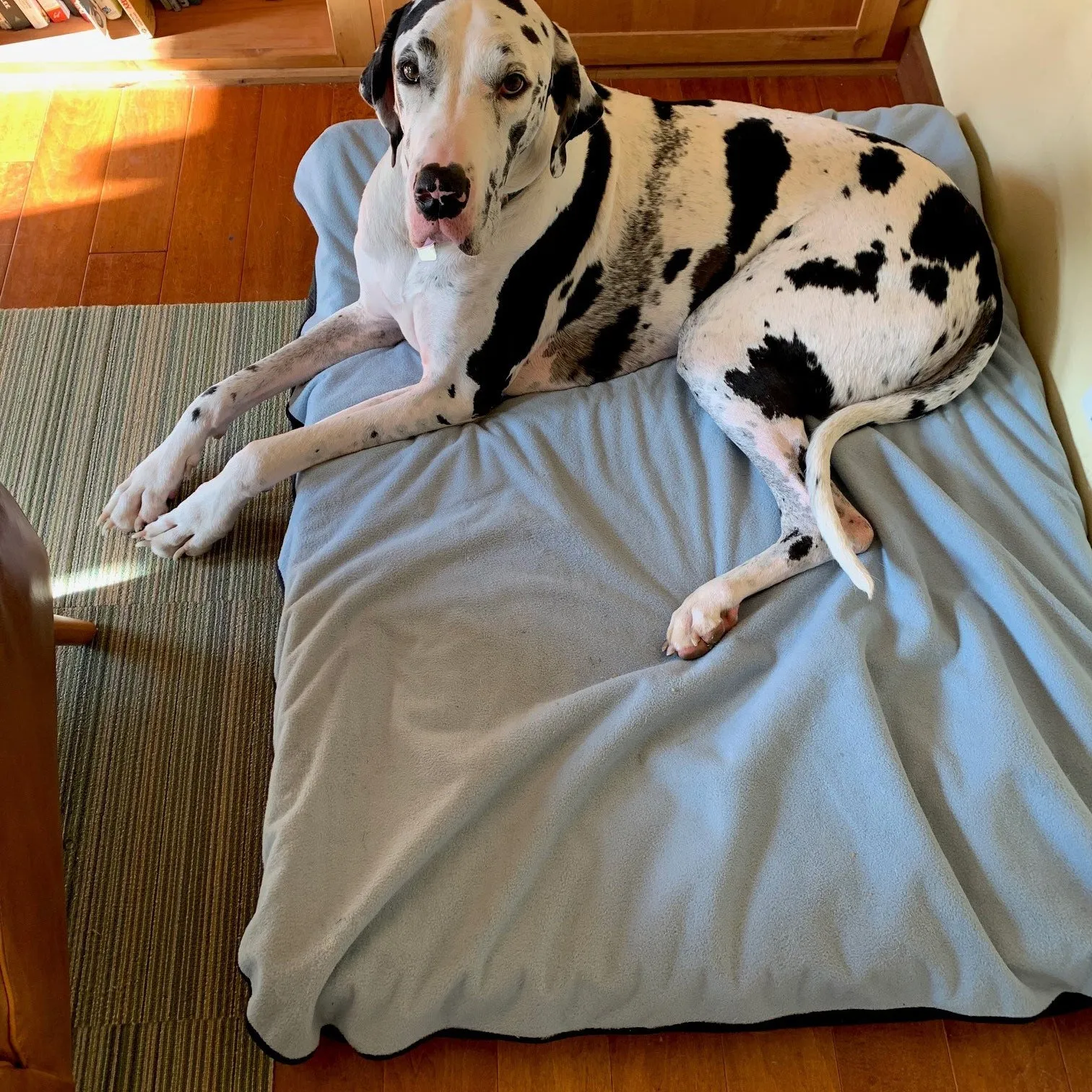 Pet Bed Cover