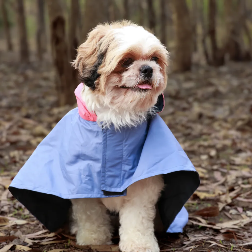 Pet Set Go Dual Colour Cape Style Raincoat for Dogs (Purple)