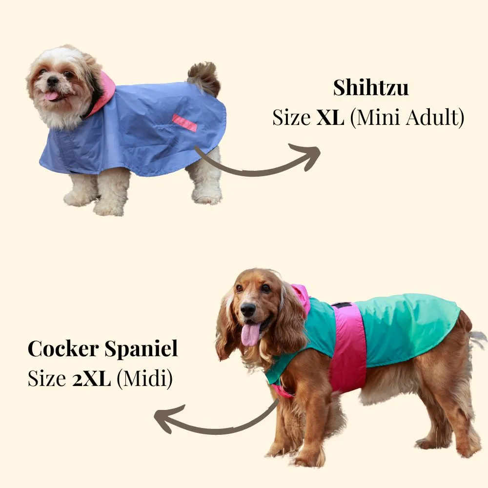 Pet Set Go Dual Colour Cape Style Raincoat for Dogs (Purple)