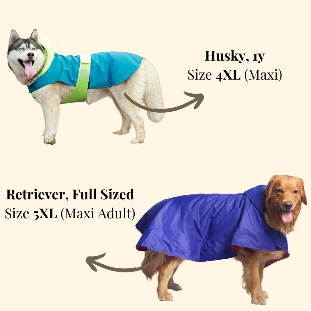 Pet Set Go Dual Colour Cape Style Raincoat for Dogs (Purple)