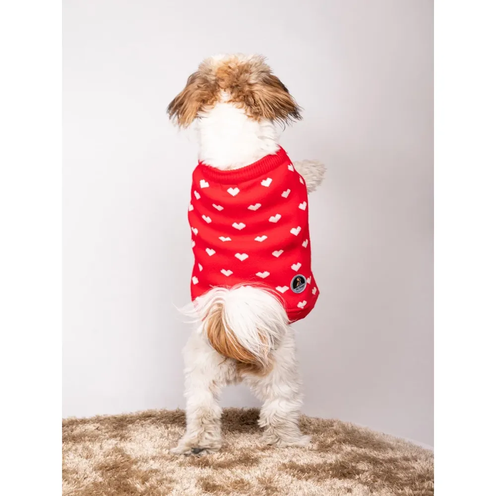 Petsnugs Heart Sweater for Dogs and Cats (Red)