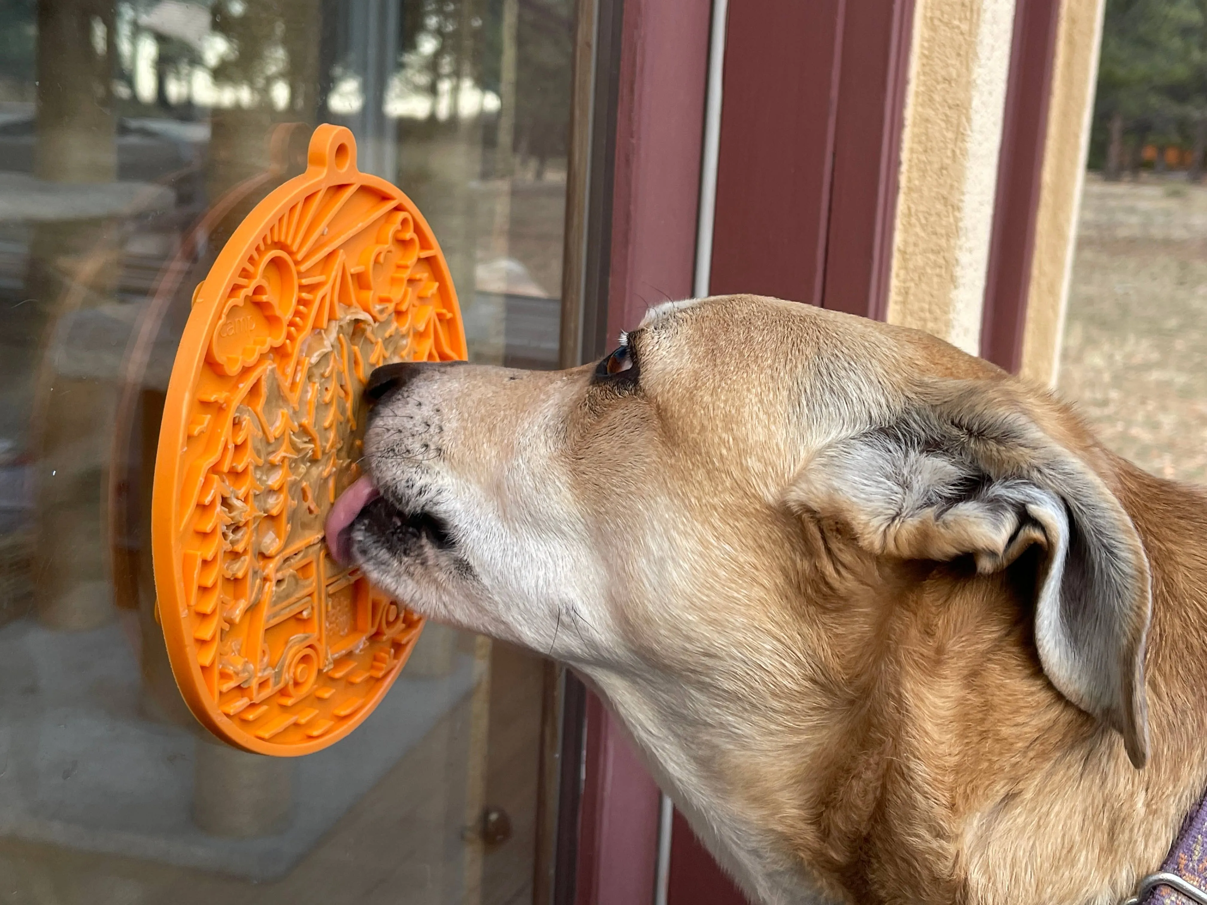 SodaPup Enrichment Lick Mat With Suction Cups - Camp