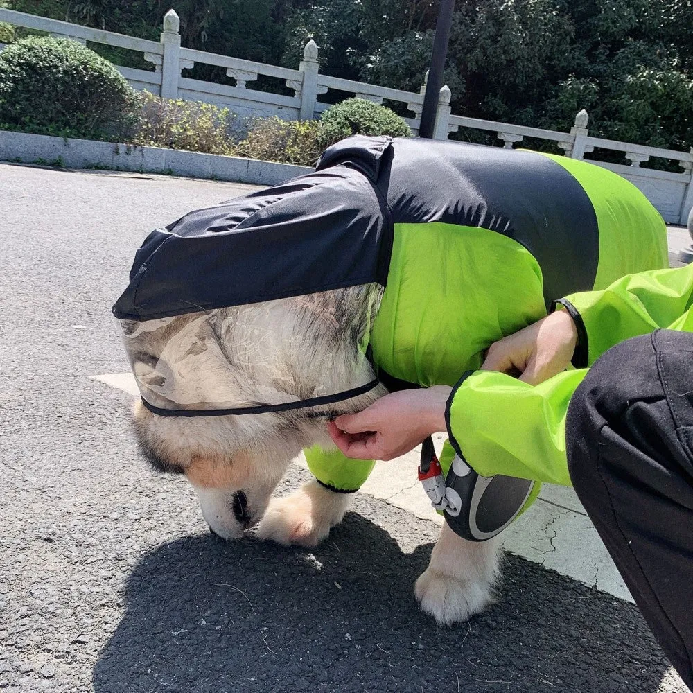 The Dog Face Dog Human Matching Raincoat