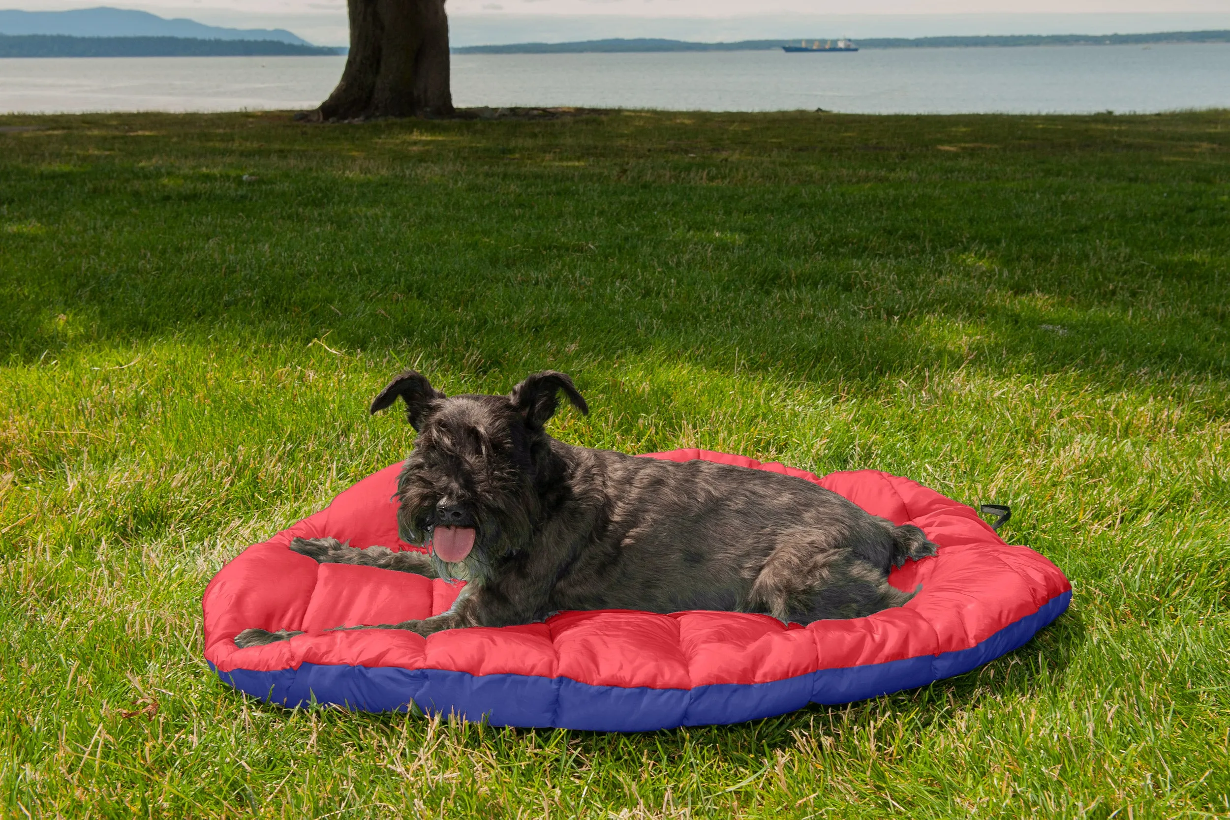 Trail Pup Packable Pet Pillow