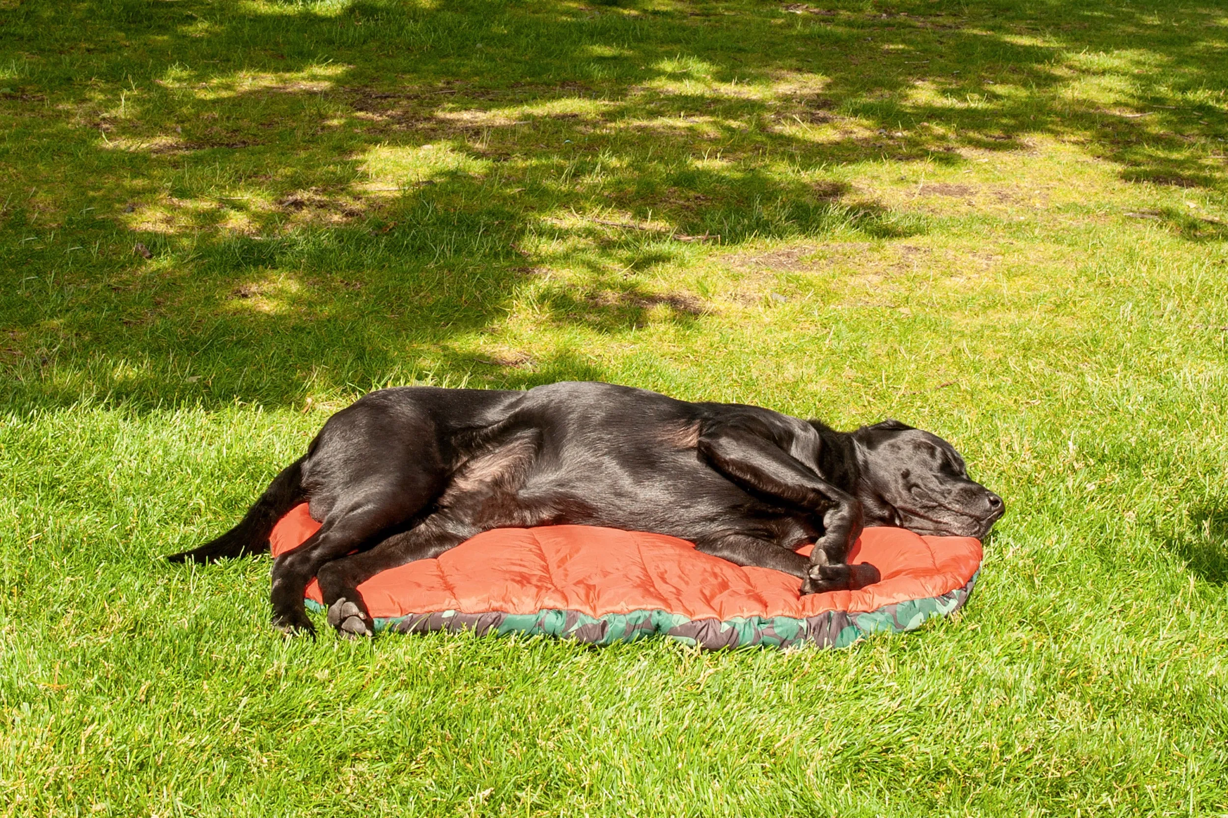 Trail Pup Packable Pet Pillow