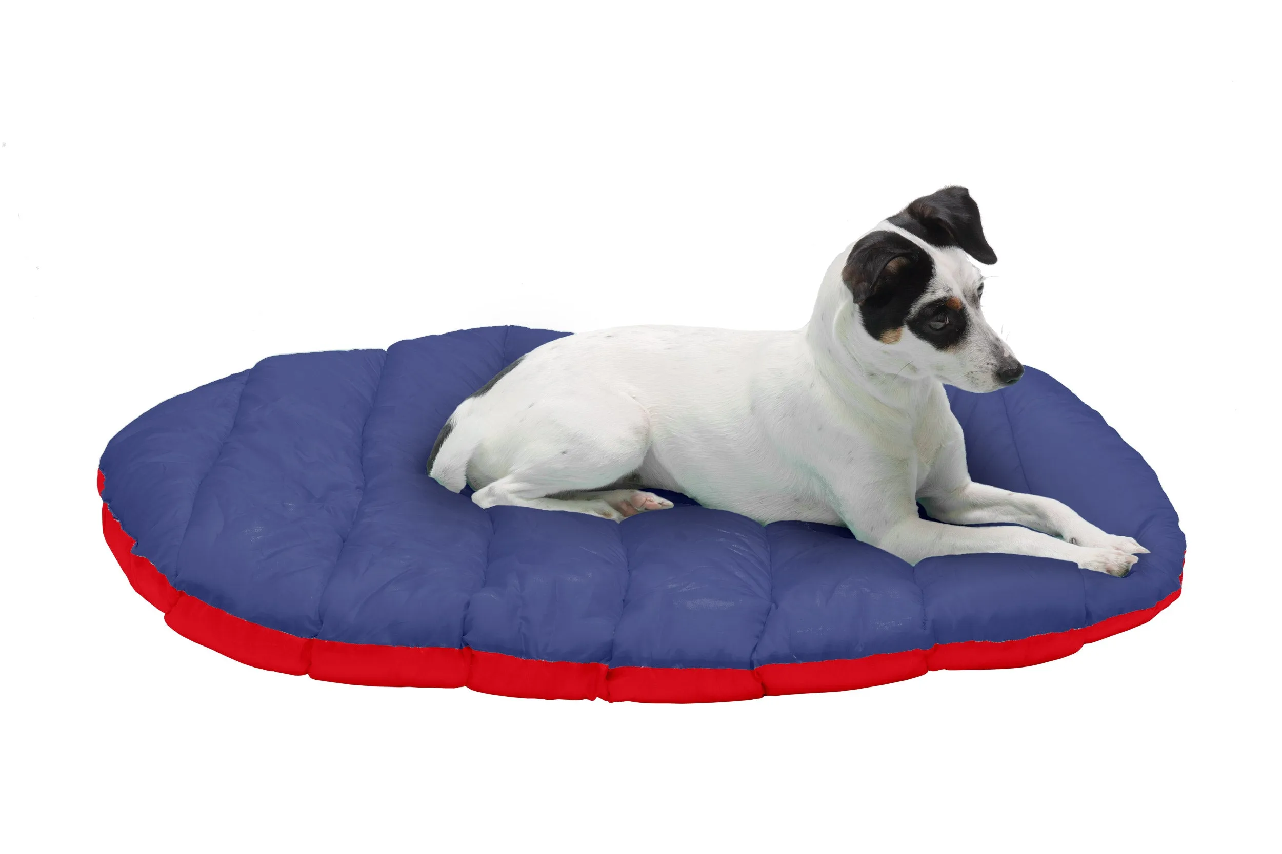 Trail Pup Packable Pet Pillow