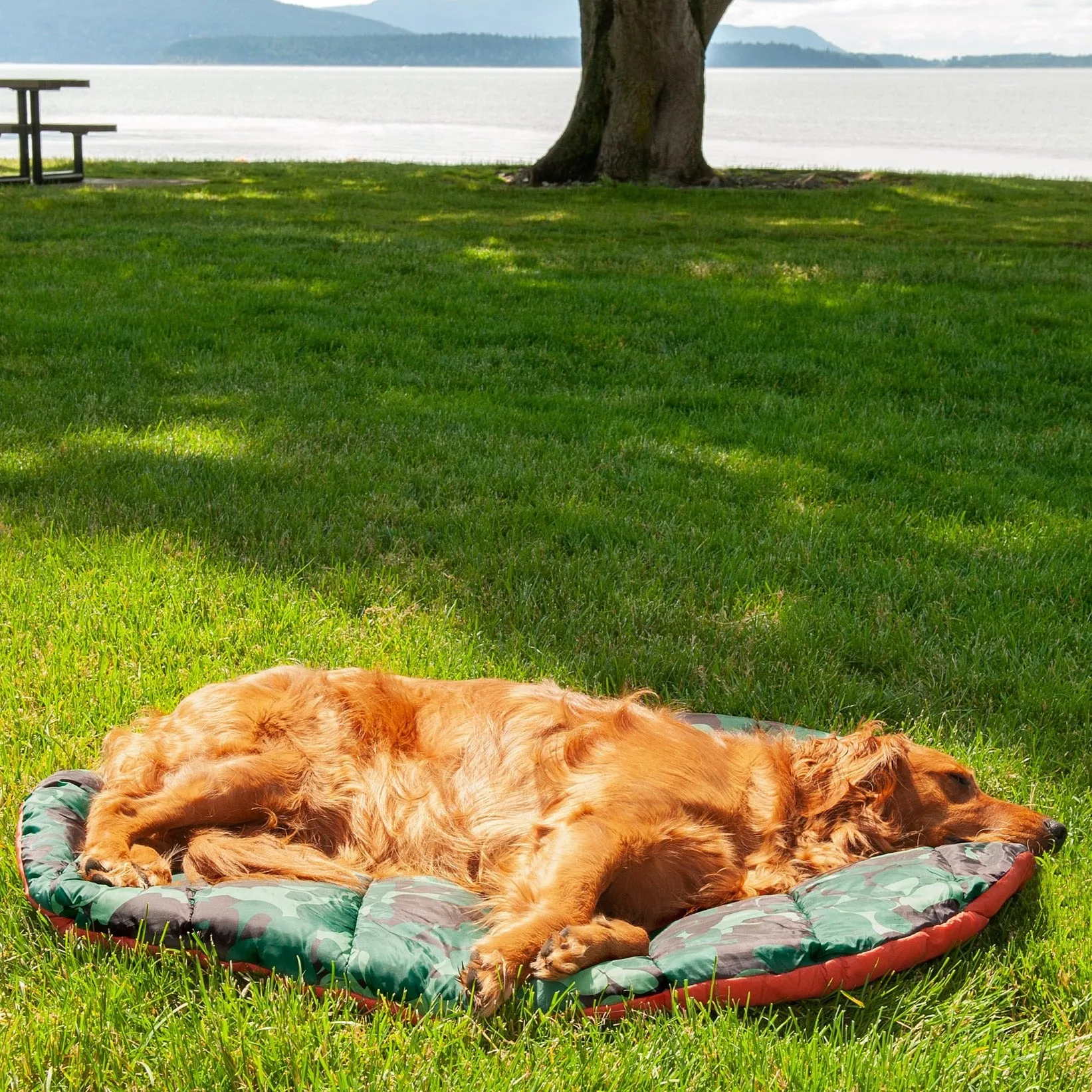 Trail Pup Packable Pet Pillow