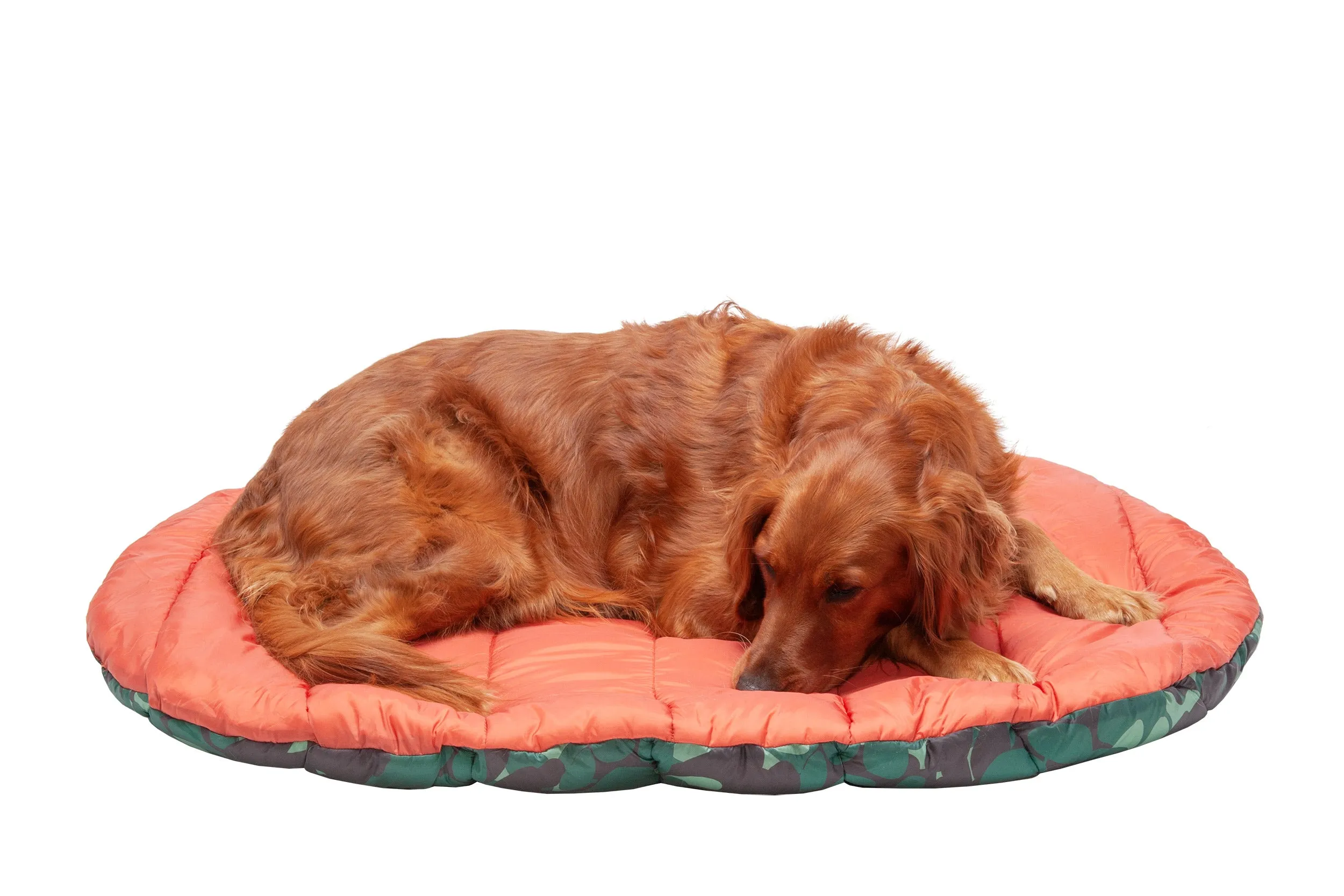 Trail Pup Packable Pet Pillow