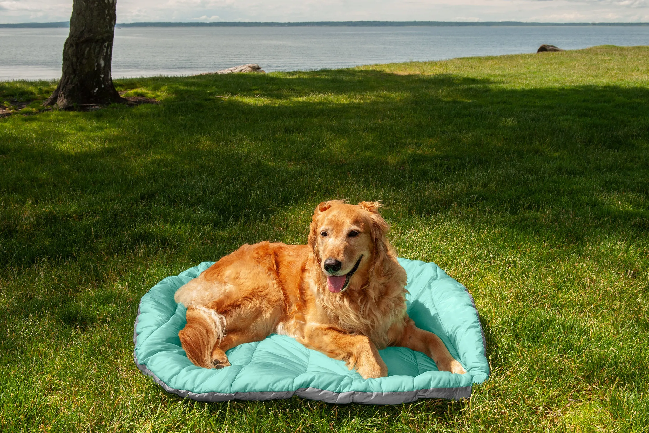 Trail Pup Packable Pet Pillow