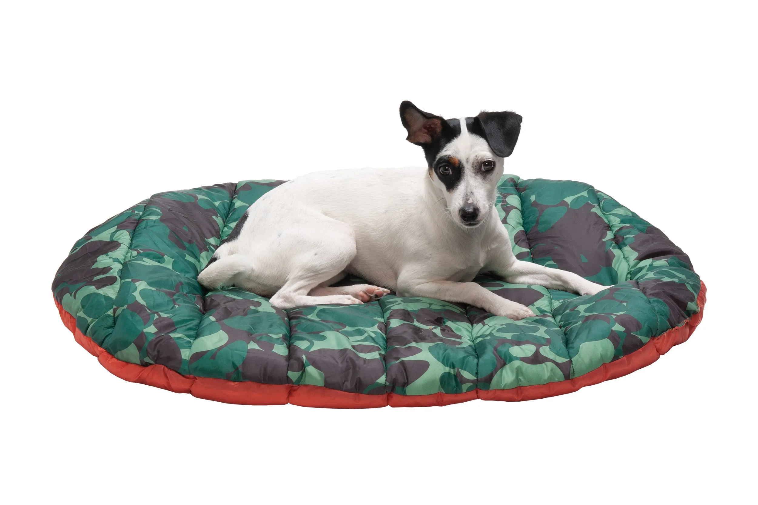 Trail Pup Packable Pet Pillow