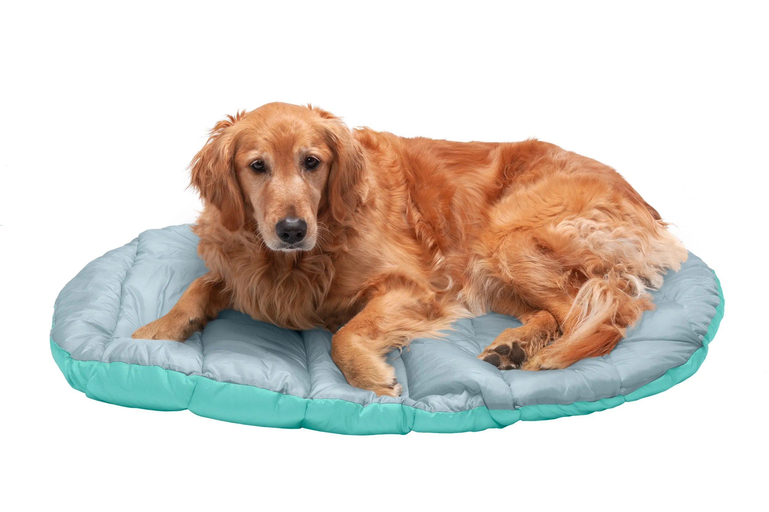 Trail Pup Packable Pet Pillow