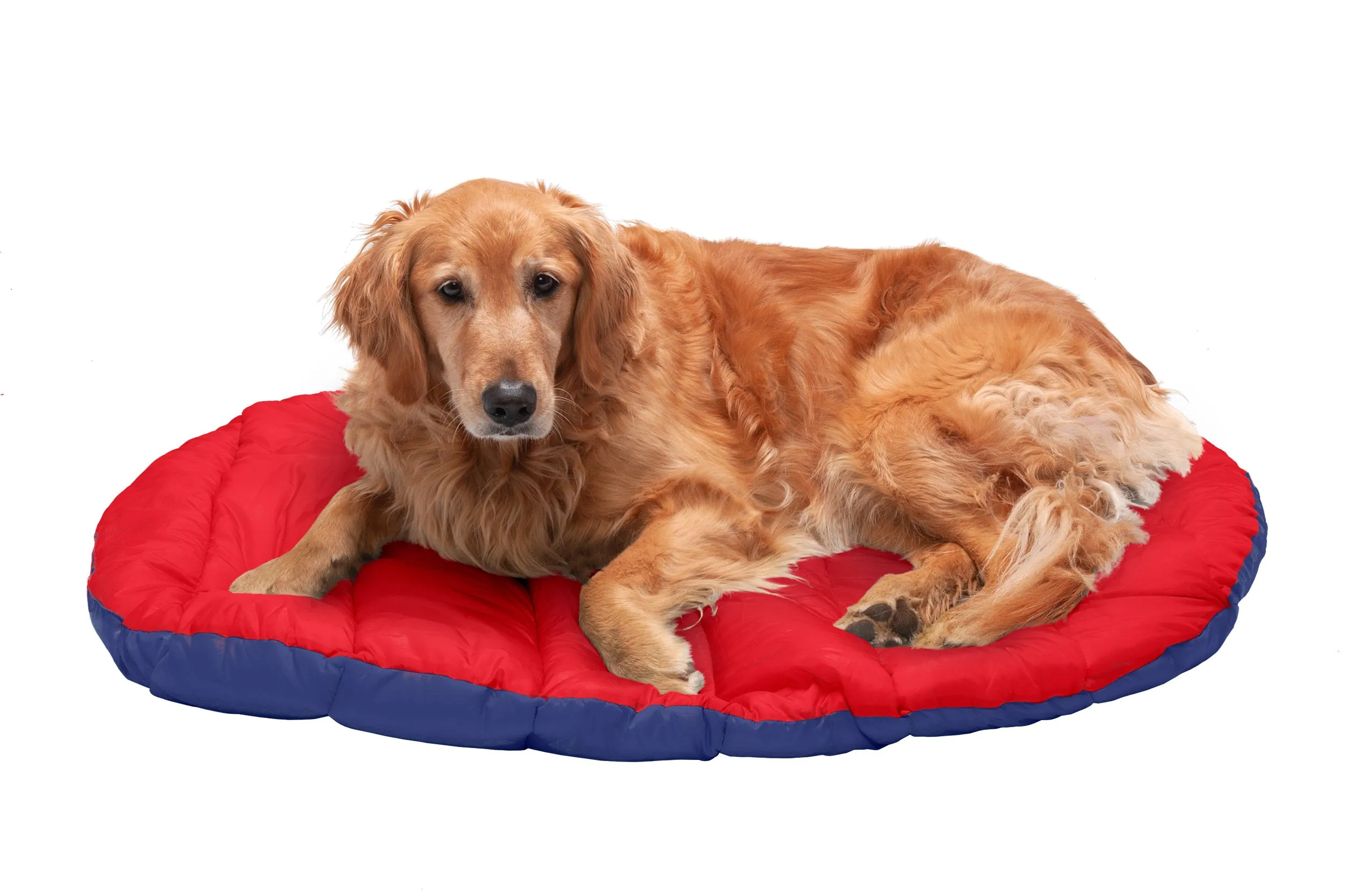 Trail Pup Packable Pet Pillow