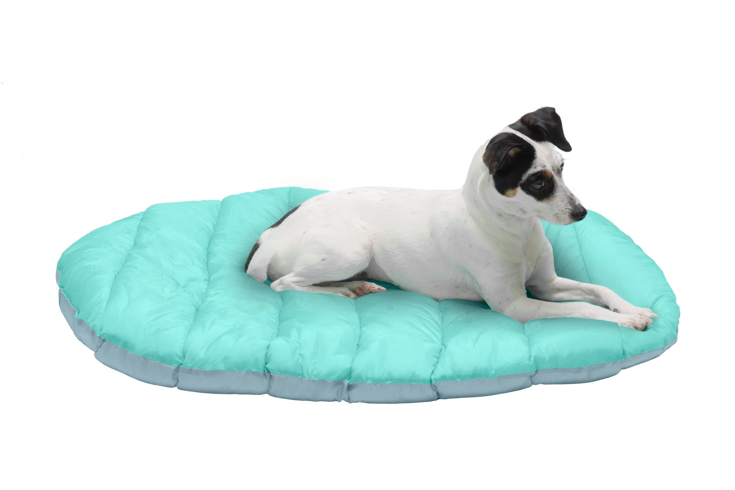 Trail Pup Packable Pet Pillow