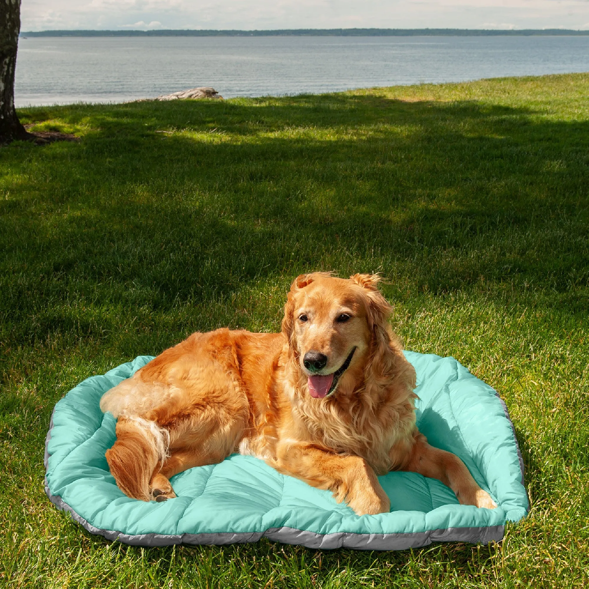 Trail Pup Packable Pet Pillow